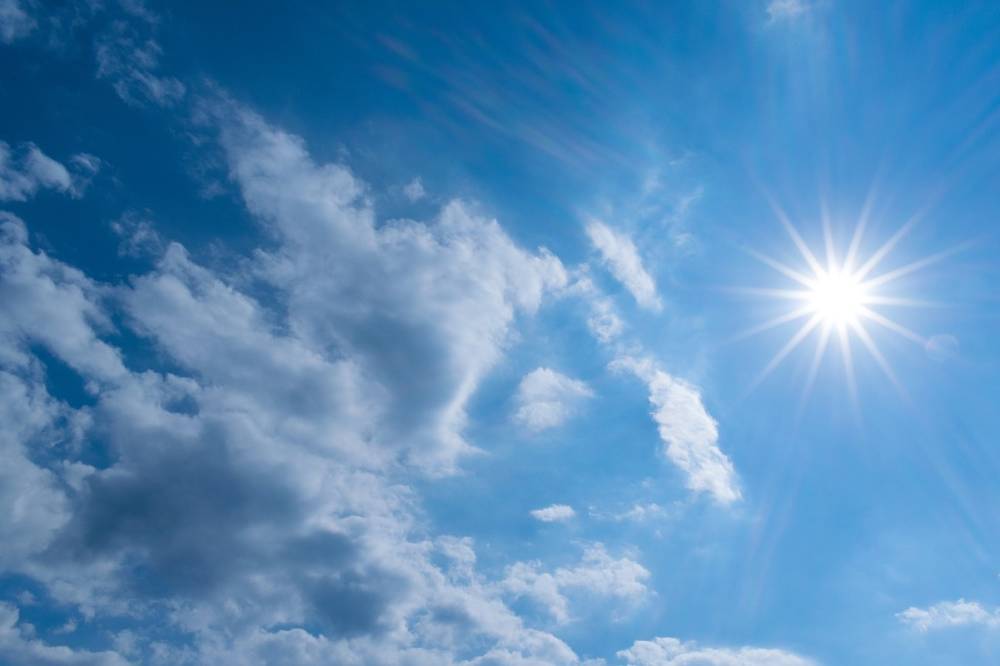 В начале недели воздух в Ленобласти прогреется до +30 градусов