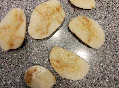 Аграрии бьют тревогу: вирус может привести к полному исчезнованию картофеля