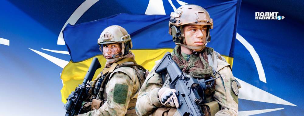 «Нас захватит Россия». Украина слезно умоляет НАТО о спасении