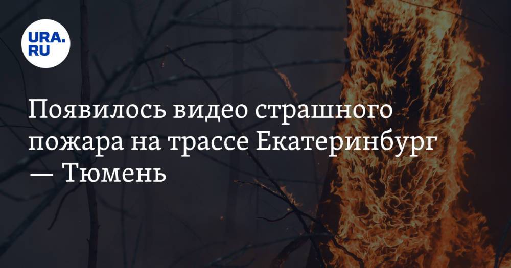 Появилось видео страшного пожара на трассе Екатеринбург — Тюмень