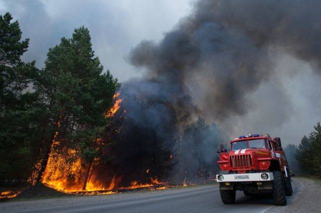 Движение на трассе «Екатеринбург – Тюмень» остановили из-за лесного пожара