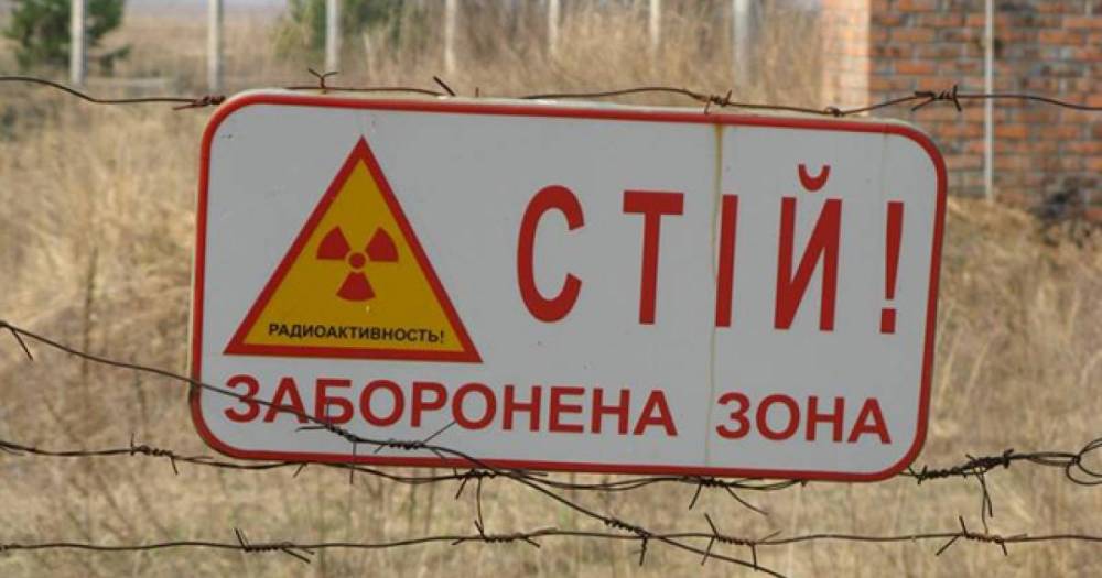 Ученые оценят влияние радиации на ос в Чернобыле