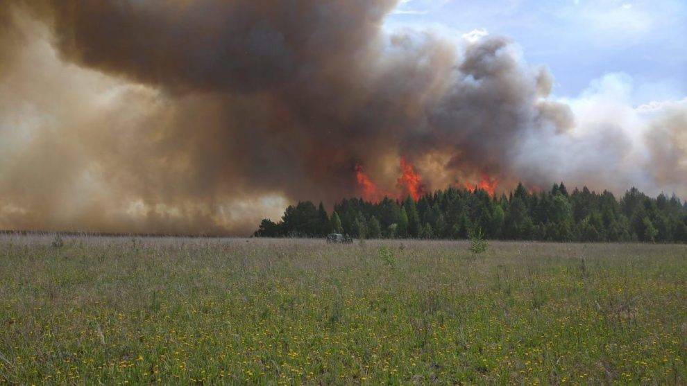 В Удмуртии из-за пожара пострадал национальный парк