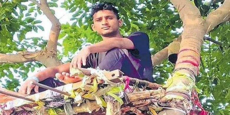 В Індії студент з COVID-19 просидів на дереві 11 днів, щоб не заразити рідних