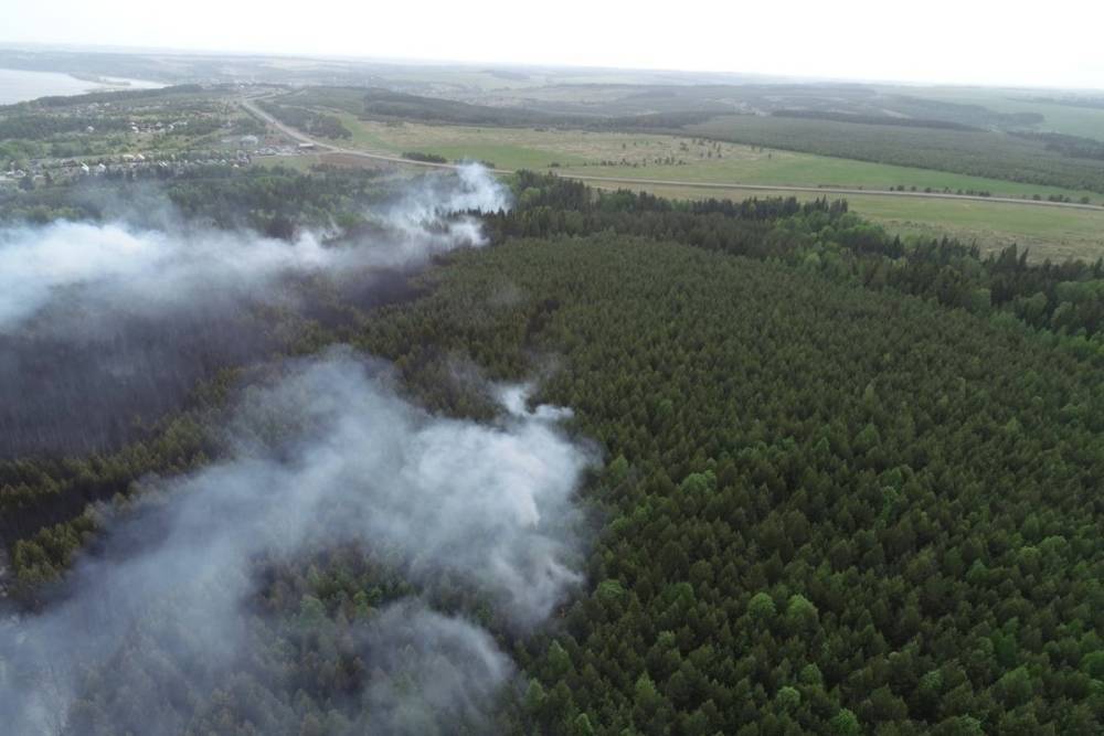 Национальнй парк Удмуртии Нечкинский пострадал от пожара 17 мая