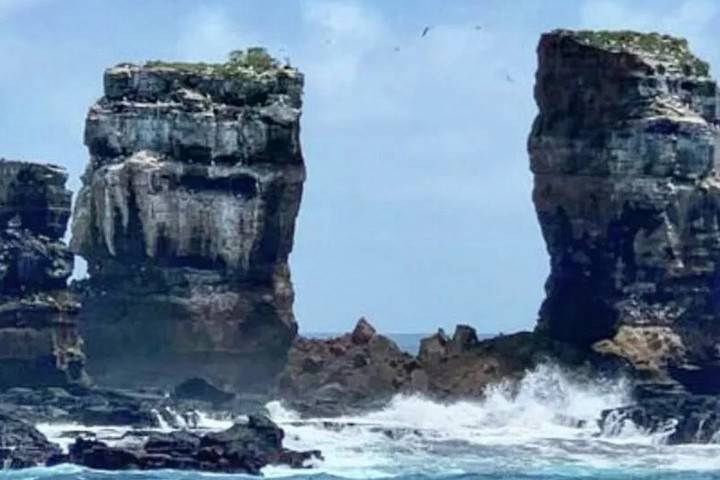 Знаменитая скала Арка Дарвина обрушилась на Галапагосских островах