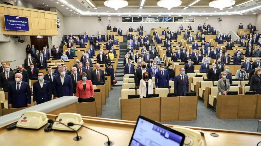 Депутаты ГД одобрили поправки о поддержке беременных и россиян с детьми