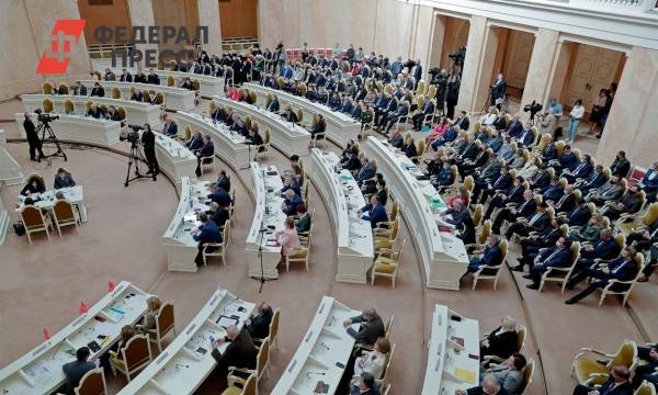 Председатель Контрольно-счетной палаты Петербурга выступит перед депутатами ЗакСа