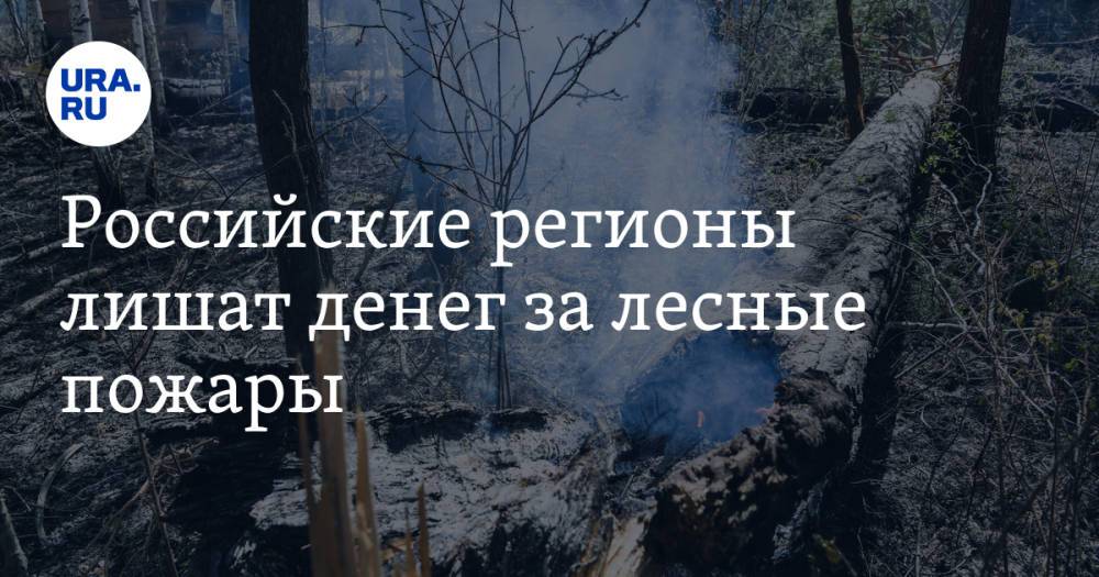 Российские регионы лишат денег за лесные пожары