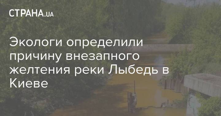 Экологи определили причину внезапного желтения реки Лыбедь в Киеве