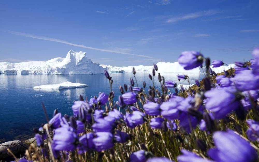 «Перспективы арктического туризма широчайшие» – Ассоциация...