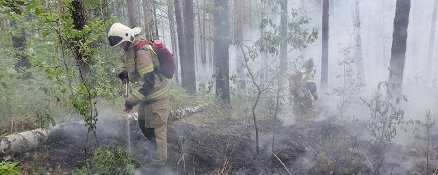 На тушение лесного пожара в пригороде Екатеринбурга уйдут сутки