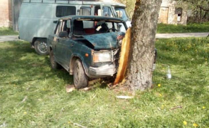 В Смоленской области «семерка» протаранила дерево. Водитель в ЦРБ