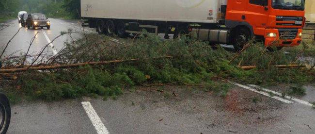На Донетчине спасатели ГСЧС убрали упавшее дерево, перекрывшее движение автомобилей по областной дороге