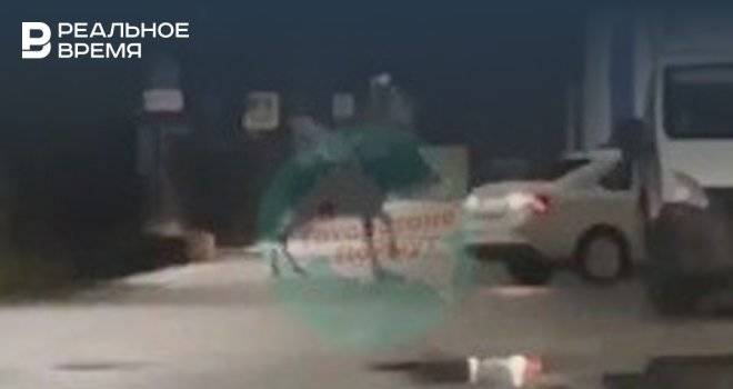 Соцсети: в Приволжском районе Казани сняли на видео лося
