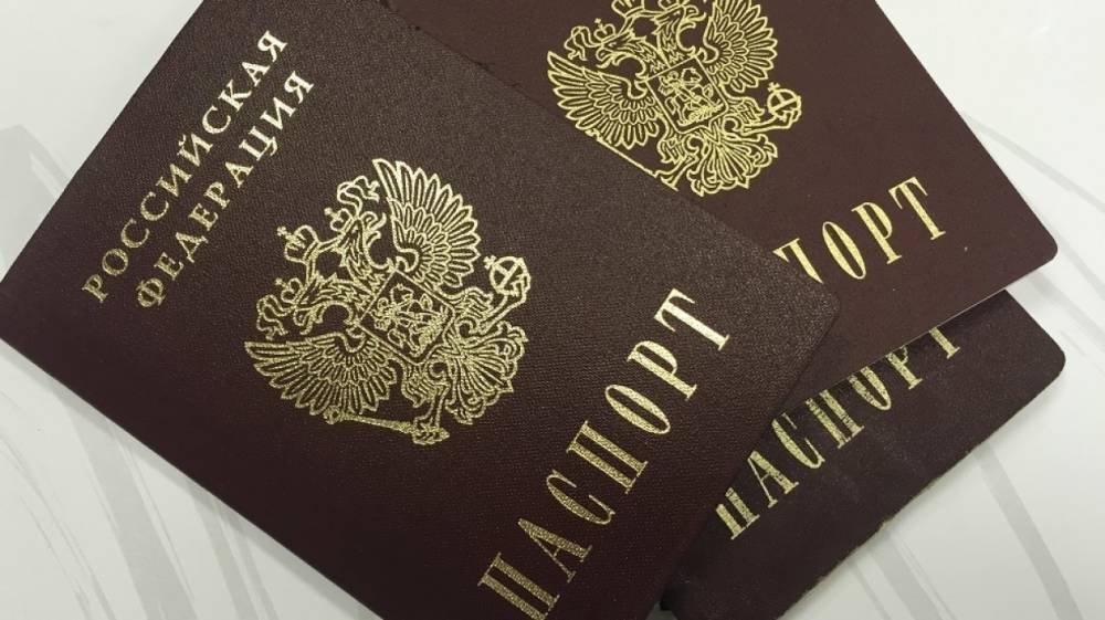 Российское гражданство получили более 520 тысяч жителей Донбасса