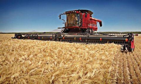 В Украине прогнозируют рекордный урожай зерна в 2021 году