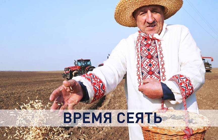 В Беларуси идут весенне-полевые работы. Зачем нужен контроль в сфере АПК и продовольственной безопасности?