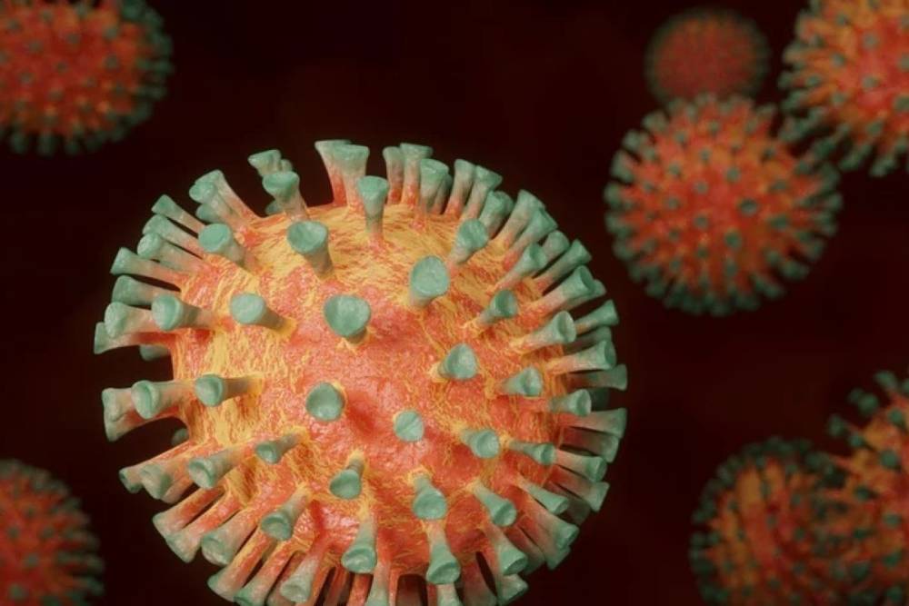 ВОЗ: число случаев коронавируса в мире близится к 164 млн