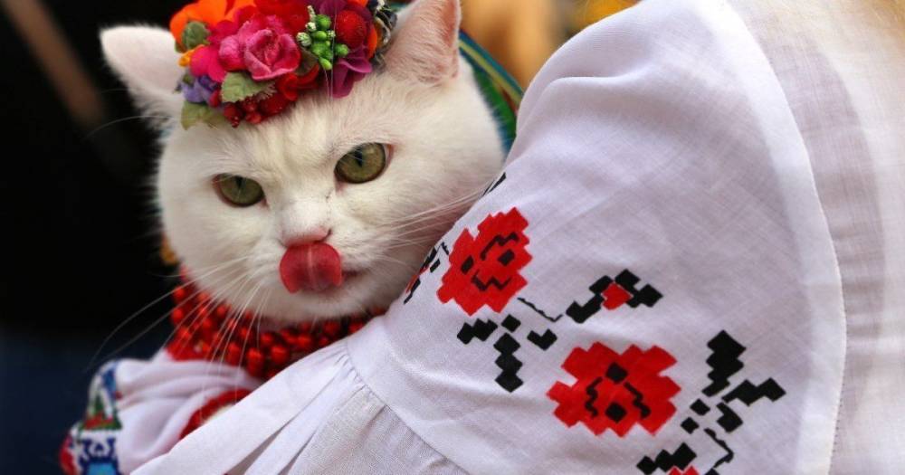 Бывает белая и черная, полностью вышитая, или только на рукавах: сегодня украинцы празднуют День вышиванки