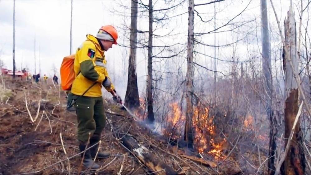 Югра продолжает гореть: площадь лесных пожаров достигла почти 150 гектаров