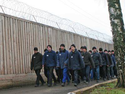 "Это будет не ГУЛАГ": директор ФСИН предложил заменить трудовых мигрантов заключенными