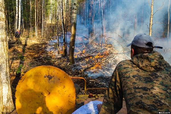 В Тюменской области остановили огонь половины лесных пожаров