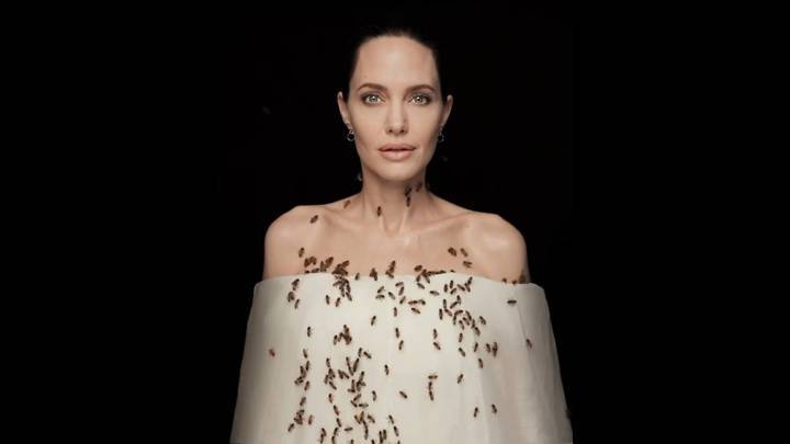 Видео из Сети. Анджелина Джоли в фотосессии для National Geographic