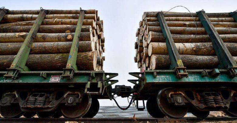 Правительство России с июля вводит пошлину на экспорт некоторых видов древесины