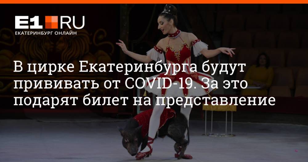 В цирке Екатеринбурга будут прививать от COVID-19. За это подарят билет на представление