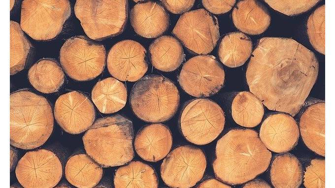Россия введет пошлины на экспорт некоторых видов лесоматериалов