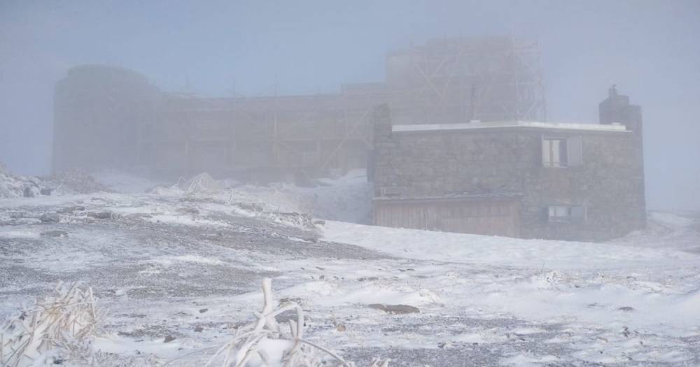 В Карпатах среди мая намело снега и ударили морозы (фото)