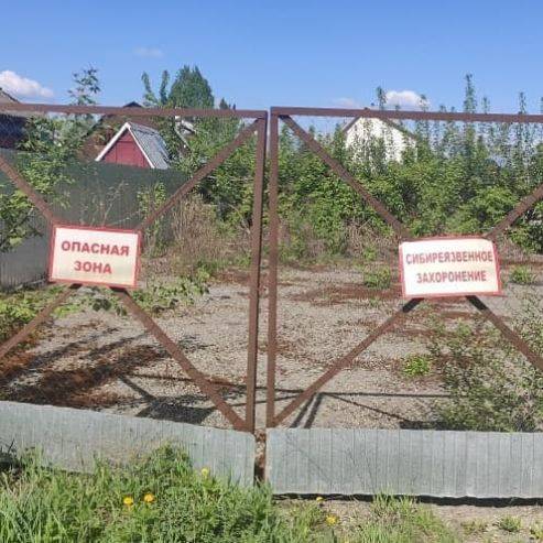 В Кемерове обследовали сибиреязвенное захоронение
