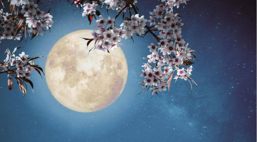 Скоро лунное затмение и полнолуние: как сильно мы будем его ощущать