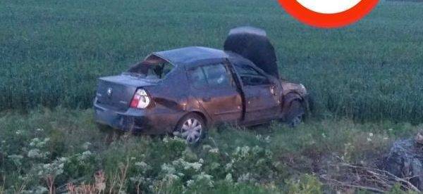 На трассе Мангуш-Бердянск под Мариуполем автомобиль перевернулся и вылетел в поле (фото)