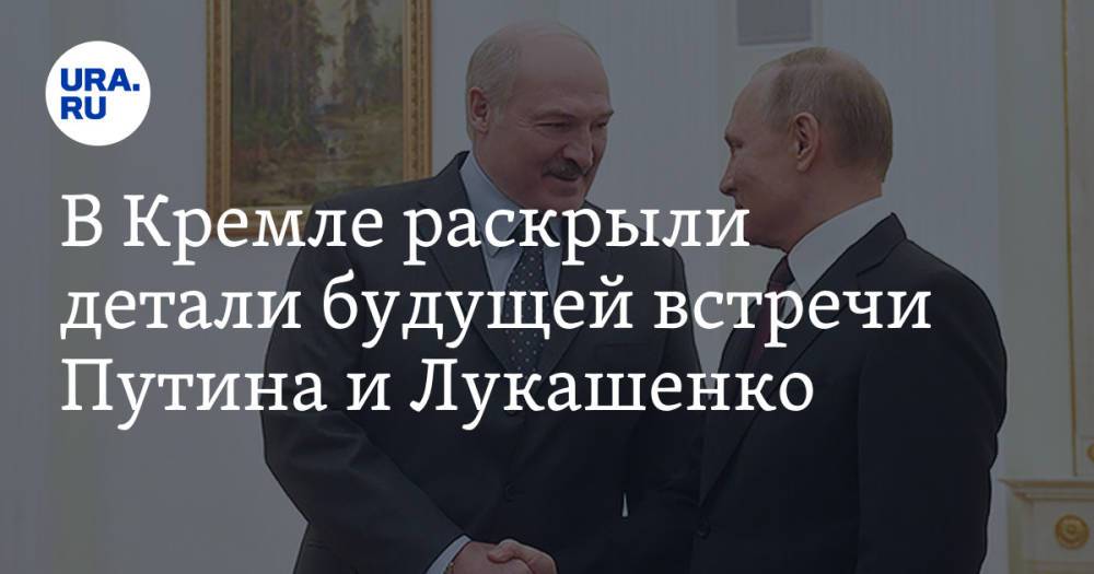 В Кремле раскрыли детали будущей встречи Путина и Лукашенко
