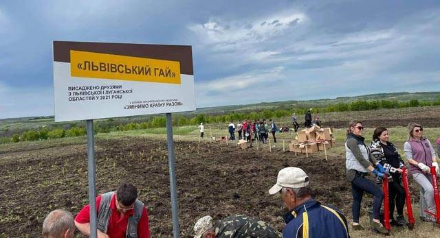 В Луганской области высадили 10 тысяч крымских сосен