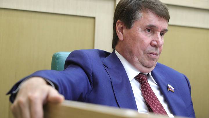 Сенатор Цеков порассуждал о российско-украинском сотрудничестве