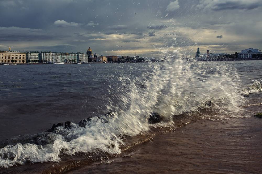 Жителей Петербурга и Ленобласти ожидает штормовой ветер в понедельник