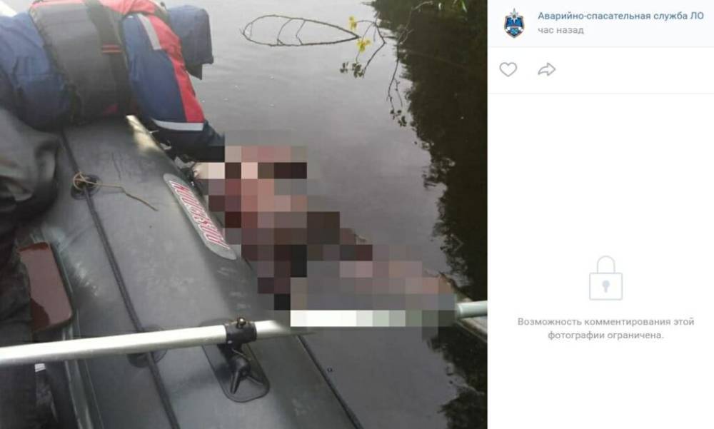 В реке Волхов в Ленобласти нашли труп мужчины