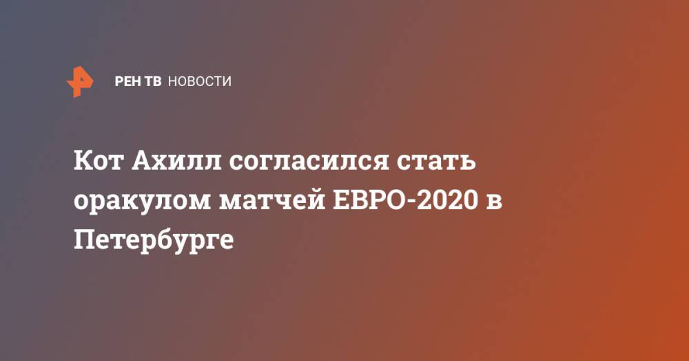 Кот Ахилл согласился стать оракулом матчей ЕВРО-2020 в Петербурге