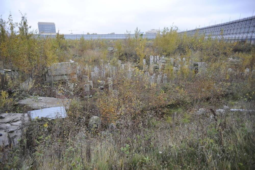 Петербуржцы потребовали создать самостоятельный парк-заповедник на Охтинском мысе