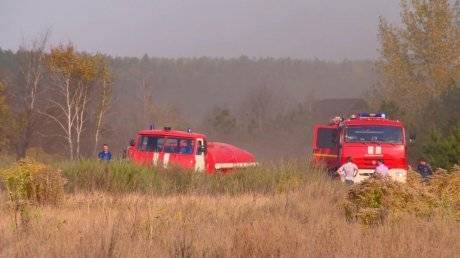 В Пензенской области сохраняется высокая пожарная опасность лесов