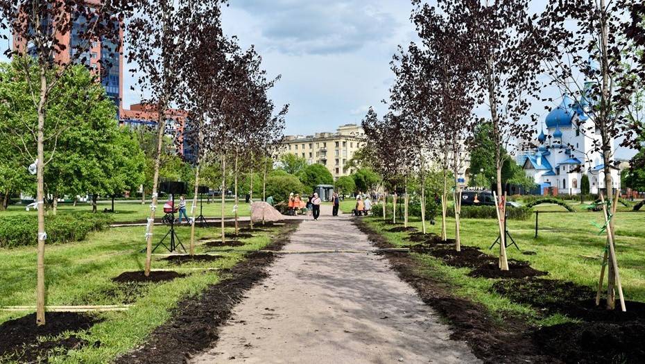 Зелёные зоны Петербурга пополнили 6 тыс. деревьев и 51 тыс. кустарников