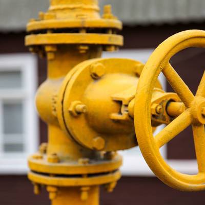 Володин назвал сроки принятия поправок о бесплатной газификации домов