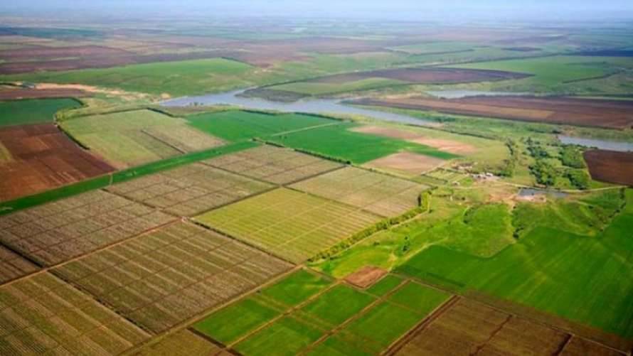 Названо пять условий для успешного запуска рынка земли в Украине