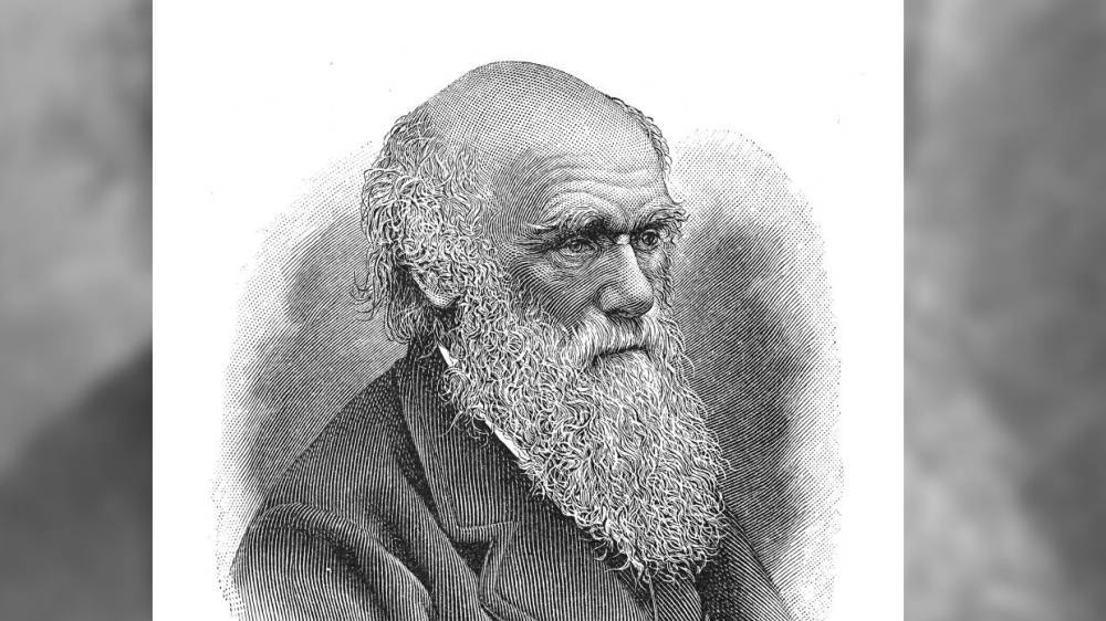 Ученый из США заметил расистские убеждения в книге Дарвина "Происхождение человека"