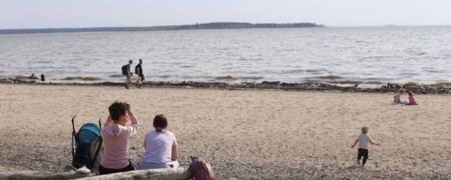 В Новосибирске готовят пляжи к летнему сезону