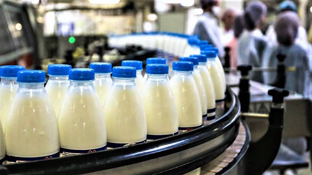 В 2021 году на Кубани на производство молока направят 1 млрд рублей