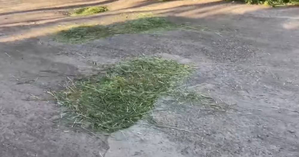 "Экологически чистый ремонт": дорогу в Днепропетровской области залатали травой (видео)